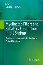 Cover von Myelinated Fibers and Saltatory Conduction in Invertebrates