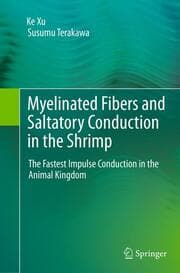 Cover von Myelinated Fibers and Saltatory Conduction in the Shrimp