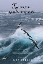 Cover von Eye of the Albatross: Visions of Hope and Survival