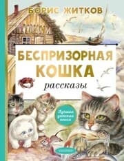 Cover von Besprizornaya koshka