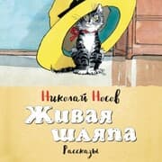 Cover von ZHivaya shlyapa