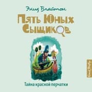 Cover von The Mystery of the Strange Bundle