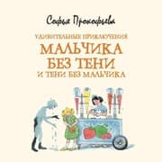 Cover von Udivitel'nye priklyucheniya mal'chika bez teni i teni bez mal'chika