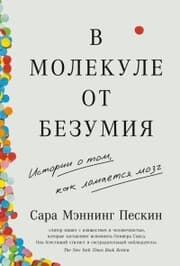 Cover von A Molecule Away from Madness: Tales of the Hijacked Brain