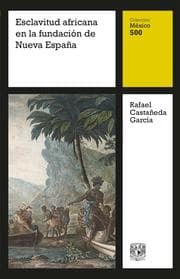 Cover von Esclavitud africana en la fundación de Nueva España