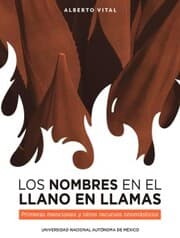 Cover von Los nombres en El Llano en llamas. Primeras menciones y otros recursos onomásticos