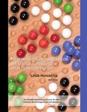 Cover von Reacomodos demográficos del Clásico al Posclásico en el centro de México