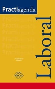 Cover von Practiagenda Laboral 2017