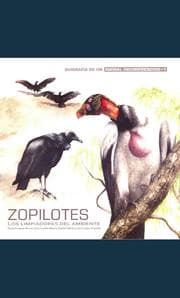 Cover von Zopilotes