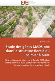 Cover von Étude des gènes MADS box dans la structure florale du palmier à huile