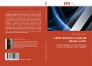 Cover von Liants minéraux à base de silicate alcalin