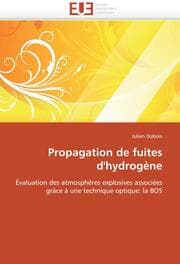 Cover von Propagation de fuites d''hydrogène