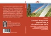 Cover von Étudier les champignons impliqués dans la minéralisation du soufre