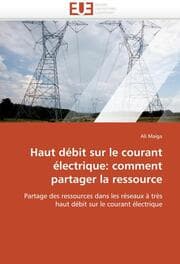 Cover von Haut débit sur le courant électrique: comment partager la ressource