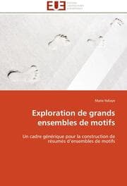 Cover von Exploration de grands ensembles de motifs