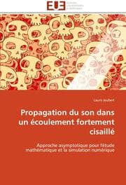 Cover von Propagation du son dans un écoulement fortement cisaillé