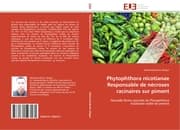 Cover von Phytophthora nicotianae Responsable de nécroses racinaires sur piment