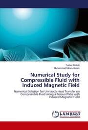 Cover von Numerical Study for Compressible Fluid with Induced Magnetic Field