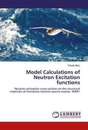 Cover von Model Calculations of Neutron Excitation functions