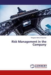 Cover von Risk Management in the Company
