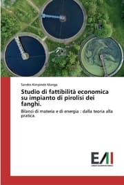 Cover von Studio di fattibilità economica su impianto di pirolisi dei fanghi.