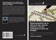 Cover von Determinantes de la eficacia del control interno y de los préstamos entre las PYMES