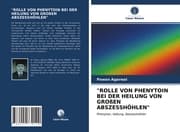 Cover von 'ROLLE VON PHENYTOIN BEI DER HEILUNG VON GROßEN ABSZESSHÖHLEN'