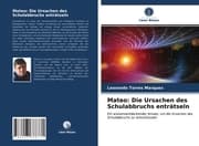 Cover von Mateo: Die Ursachen des Schulabbruchs enträtseln