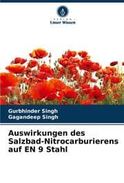 Cover von Auswirkungen des Salzbad-Nitrocarburierens auf EN 9 Stahl