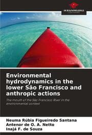Cover von Environmental hydrodynamics in the lower São Francisco and anthropic actions