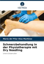 Cover von Schmerzbehandlung in der Physiotherapie mit Dry Needling