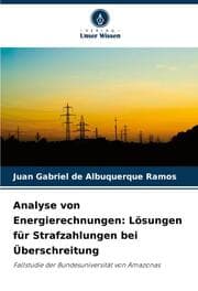 Cover von Analyse von Energierechnungen: Lösungen für Strafzahlungen bei Überschreitung