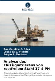 Cover von Analyse des Flüssignitrierens von rostfreiem Stahl 17-4 PH