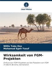 Cover von Wirksamkeit von FGM-Projekten
