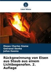 Cover von Rückgewinnung von Eisen aus Staub aus einem Lichtbogenofen. 2. Auflage