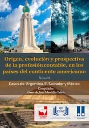 Cover von Origen, Evolución y Prospectiva de la Profesión Contable, en los Países del Continente Americano.