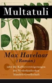 Cover von Max Havelaar (Roman)