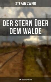 Cover von Der Stern über dem Walde: Eine Liebesgeschichte