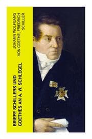 Cover von Briefe Schillers und Goethes an A. W. Schlegel