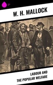 Cover von Labour and the Popular Welfare