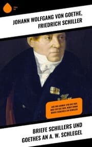 Cover von Briefe Schillers und Goethes an A. W. Schlegel