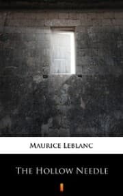 Cover von The Hollow Needle