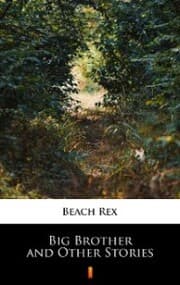 Cover von Big Brother and Other Stories
