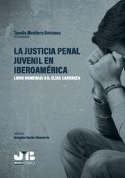 Cover von La justicia penal juvenil en Iberoamérica