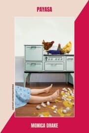 Cover von Payasa