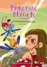 Cover von Princesas Dragón 5: Los hermanos Tormenta