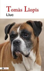 Cover von Lluc
