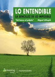 Cover von Lo Entendible