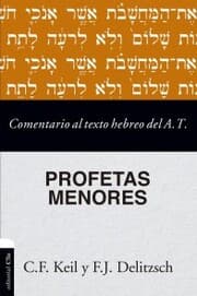Cover von Comentario al texto hebreo del Antiguo Testamento - Profetas Menores