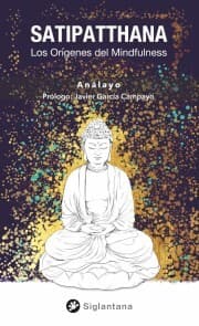 Cover von Satipatthana